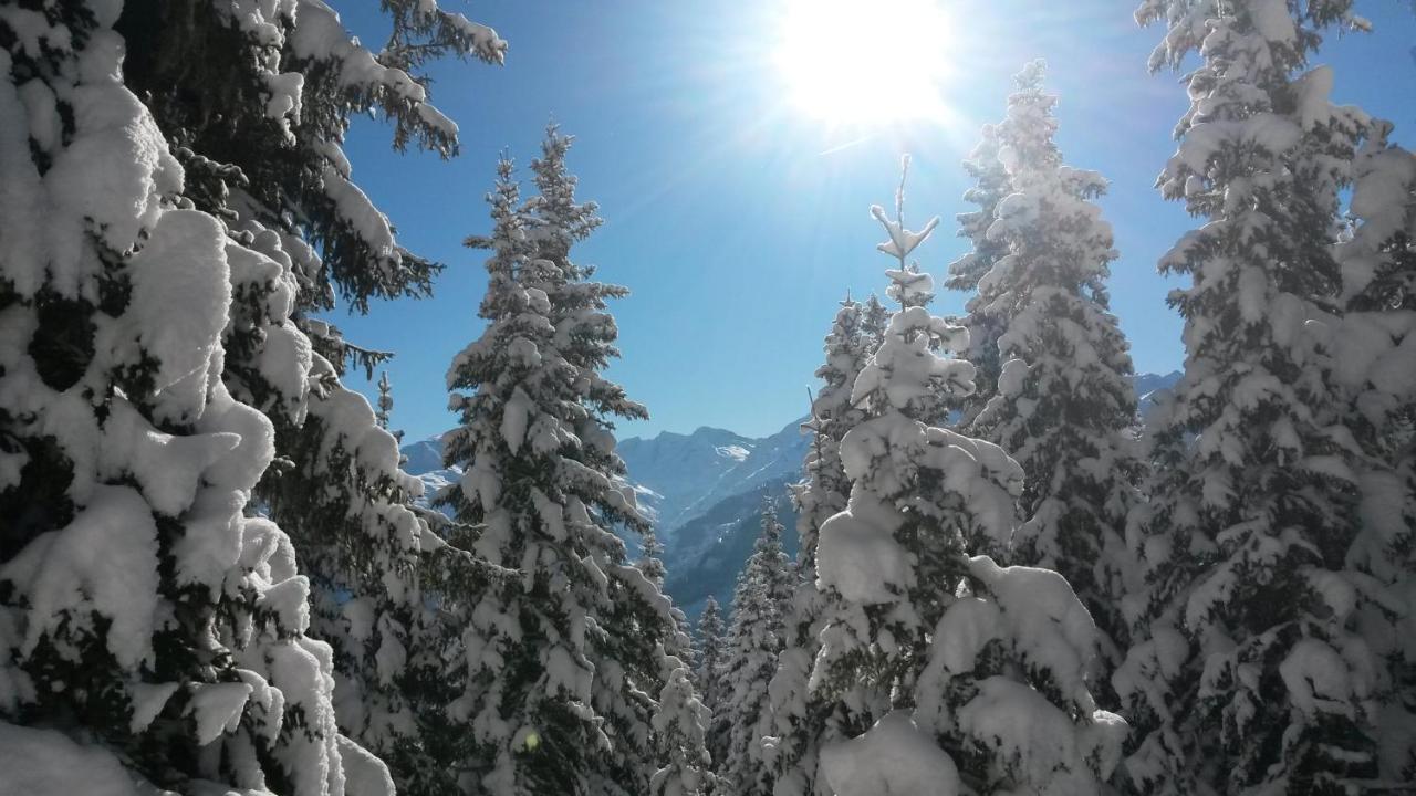Haus Renswouw * Hollersbach im Pinzgau